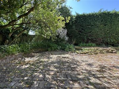 Picture 28
